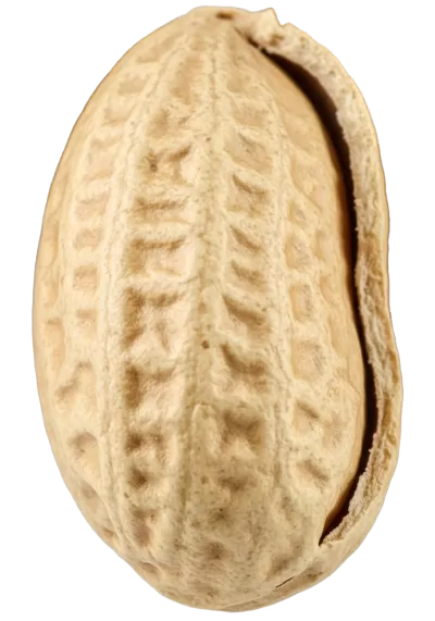 Imagen PNG para descargar